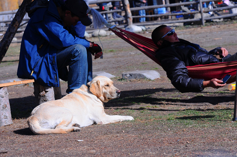 dsc_0434.jpg