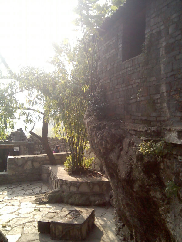 img_20111120_154547.jpg