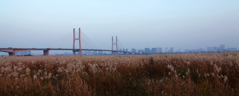 img_3700_conew1.jpg