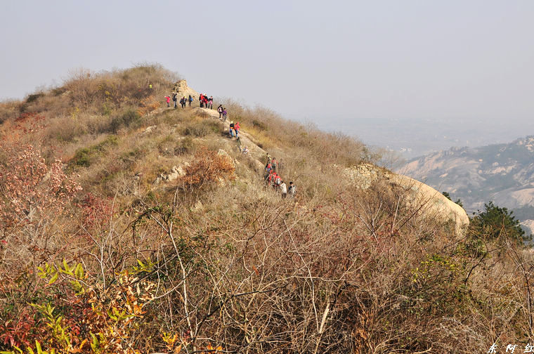 dsc_3223.jpg