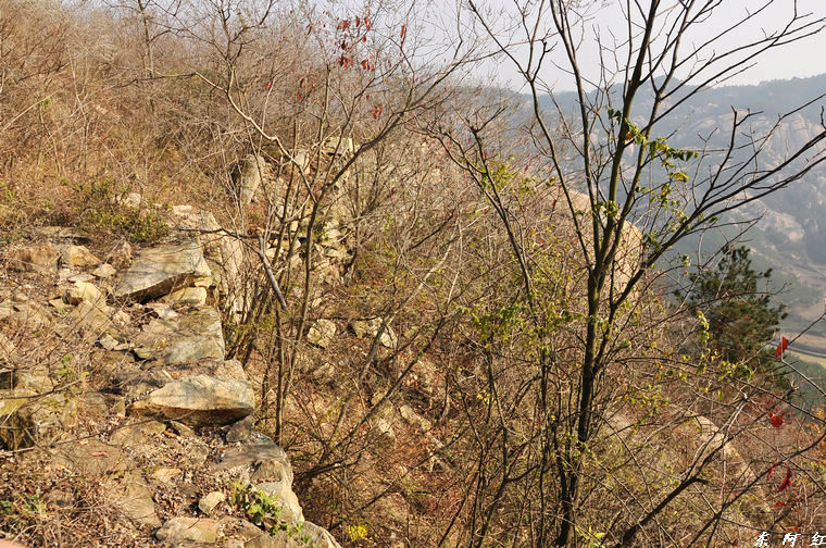 dsc_3225.jpg