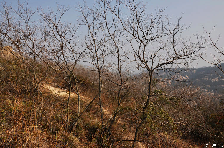 dsc_3228.jpg