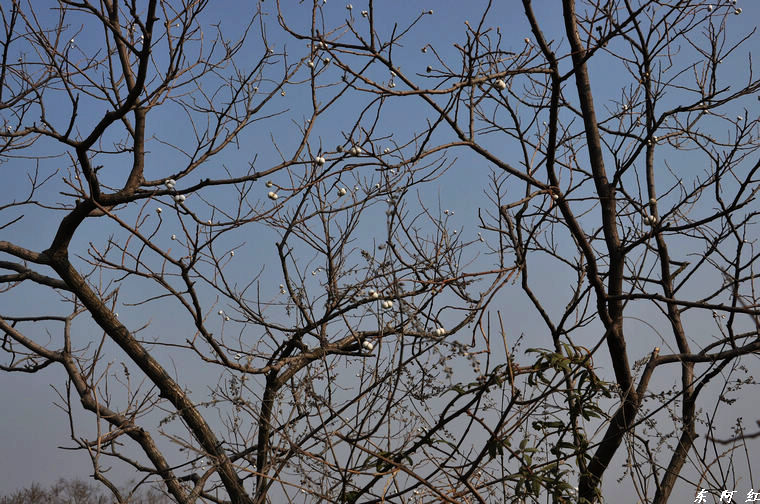 dsc_3232.jpg