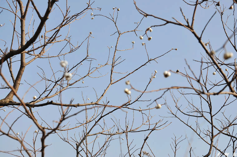 dsc_3234.jpg