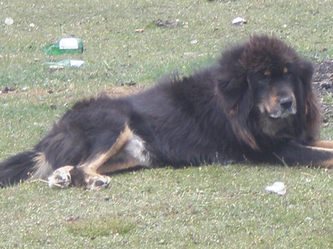 20110813_131231_123.jpg