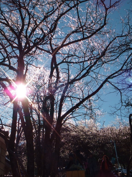 dsc00117.jpg