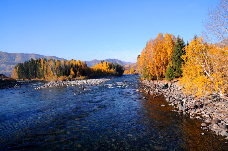 dsc_0408.jpg