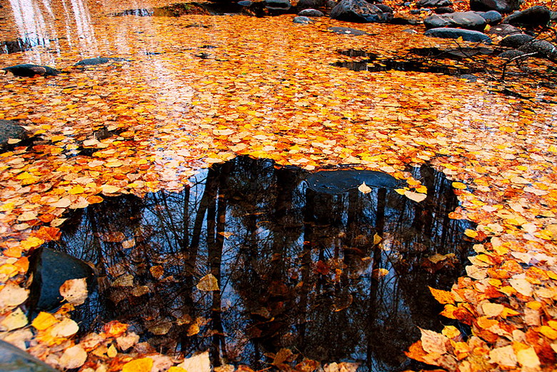 dsc_4185.jpg