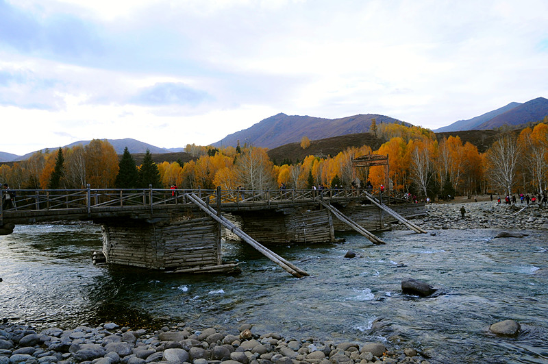 dsc_0582.jpg