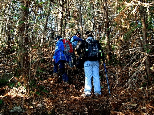 dscn2083_.jpg