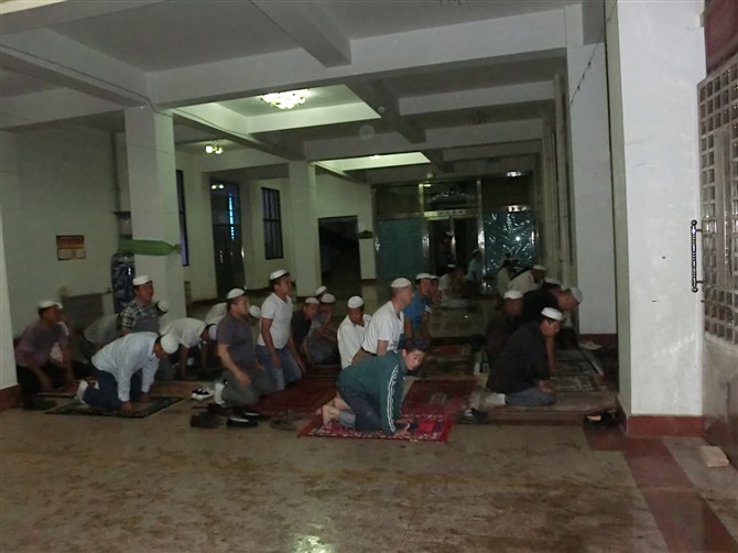 psu (15).jpg