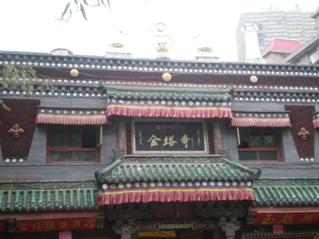 20110814_094854_197.jpg