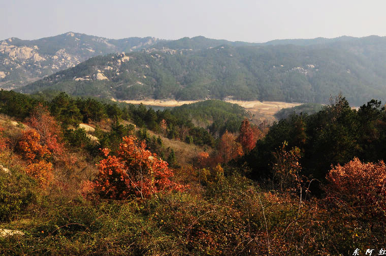 dsc_3431.jpg