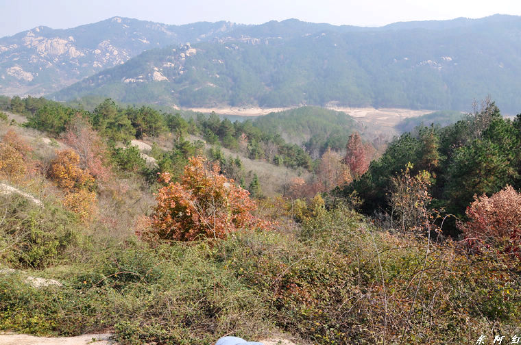 dsc_3432.jpg