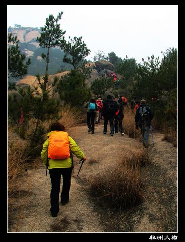 dscf2135.jpg