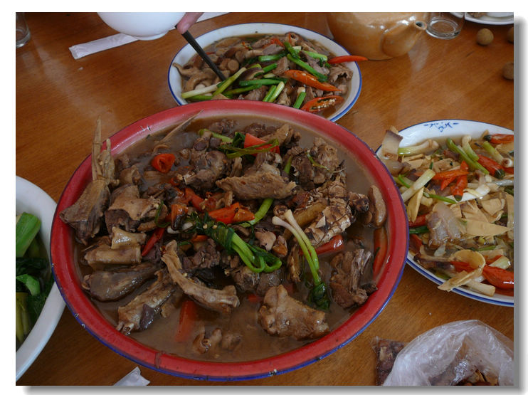 p1330820-.jpg