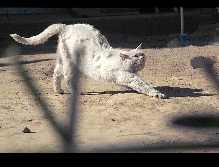 dsc_0198a.jpg