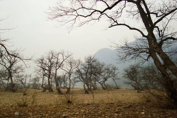 dsc07262.jpg