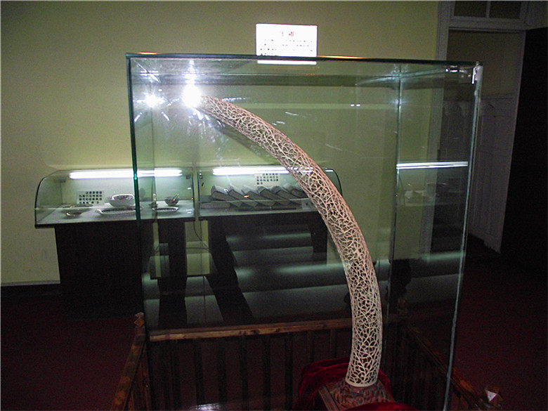 2011_01230234_.jpg