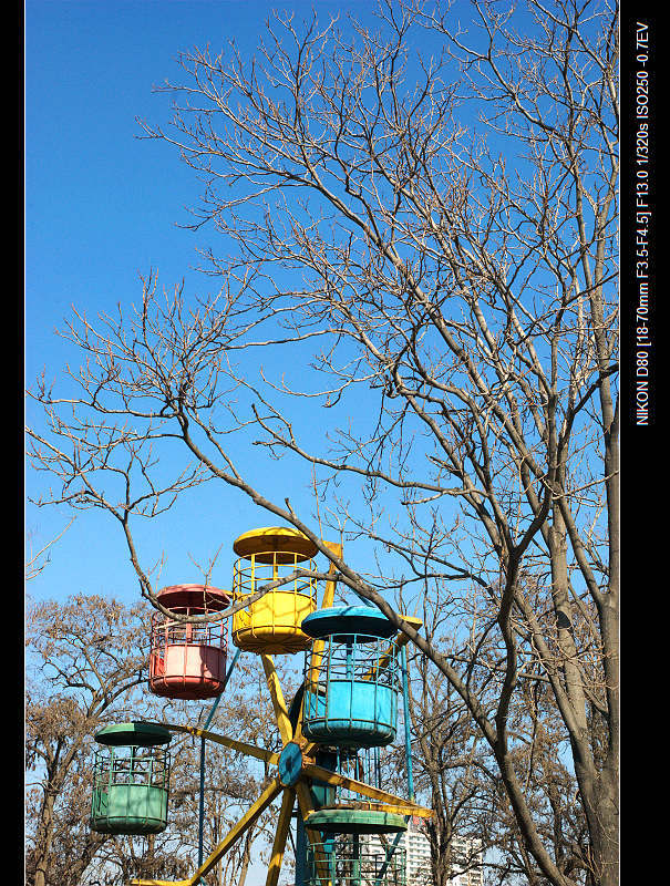 dsc_0244a.jpg