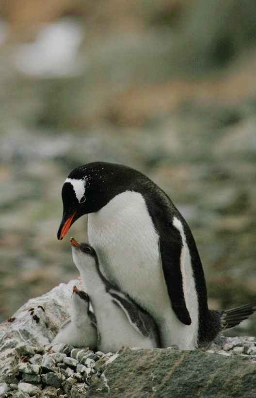 img_7823.jpg