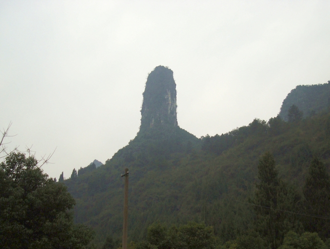 dsc07457.jpg