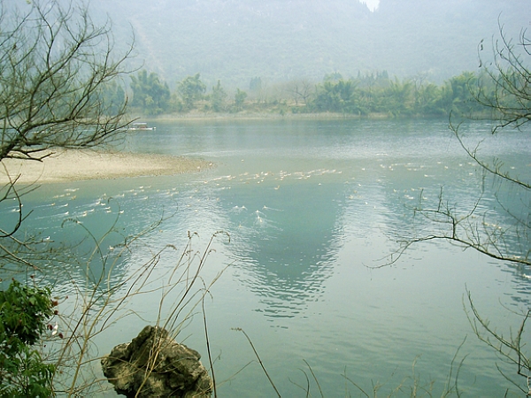 dsc07548.jpg