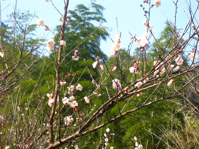 img_7601.jpg