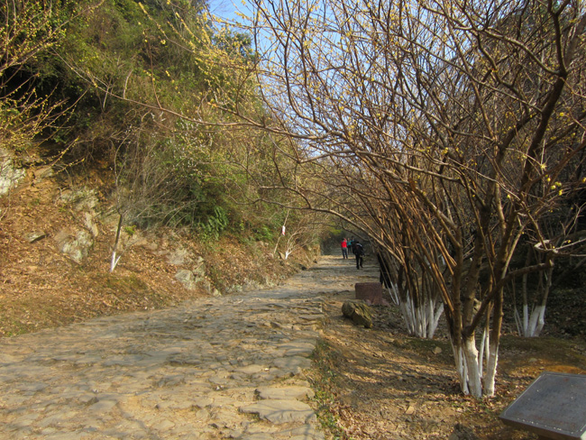 img_7614.jpg