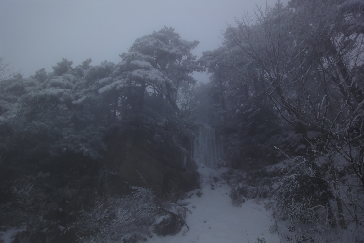 dsc04515.jpg
