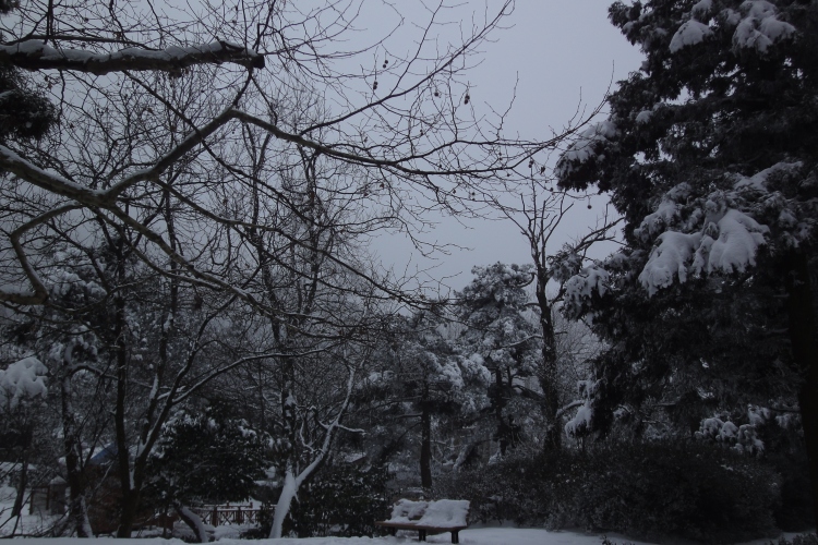 dsc04514.jpg