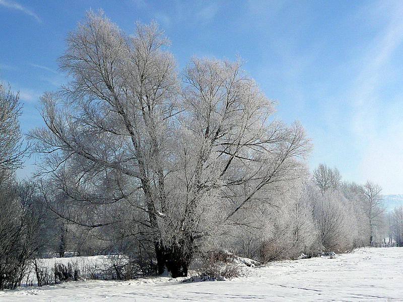 p1200360.jpg