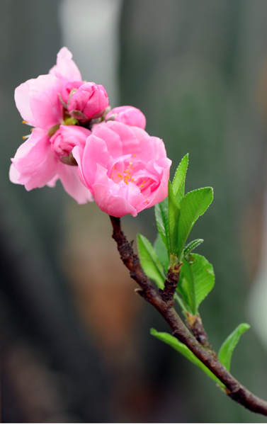 dsc_5058a.jpg