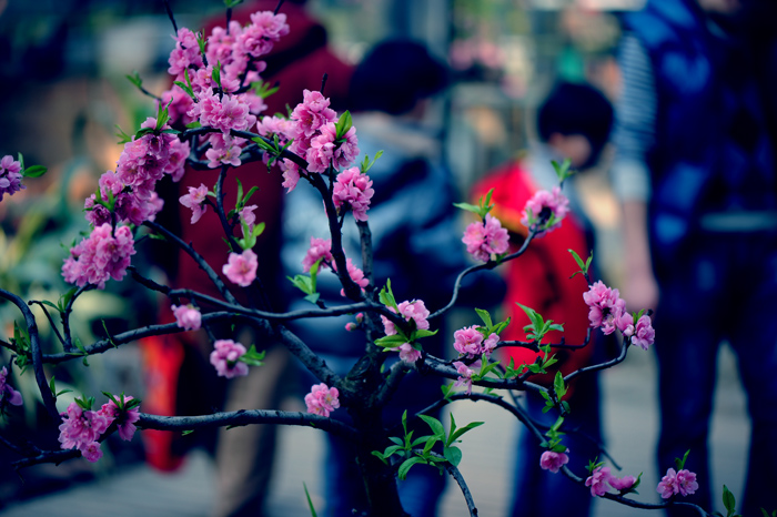 dsc_5063a.jpg