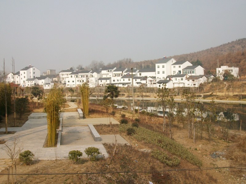 alim4858.jpg