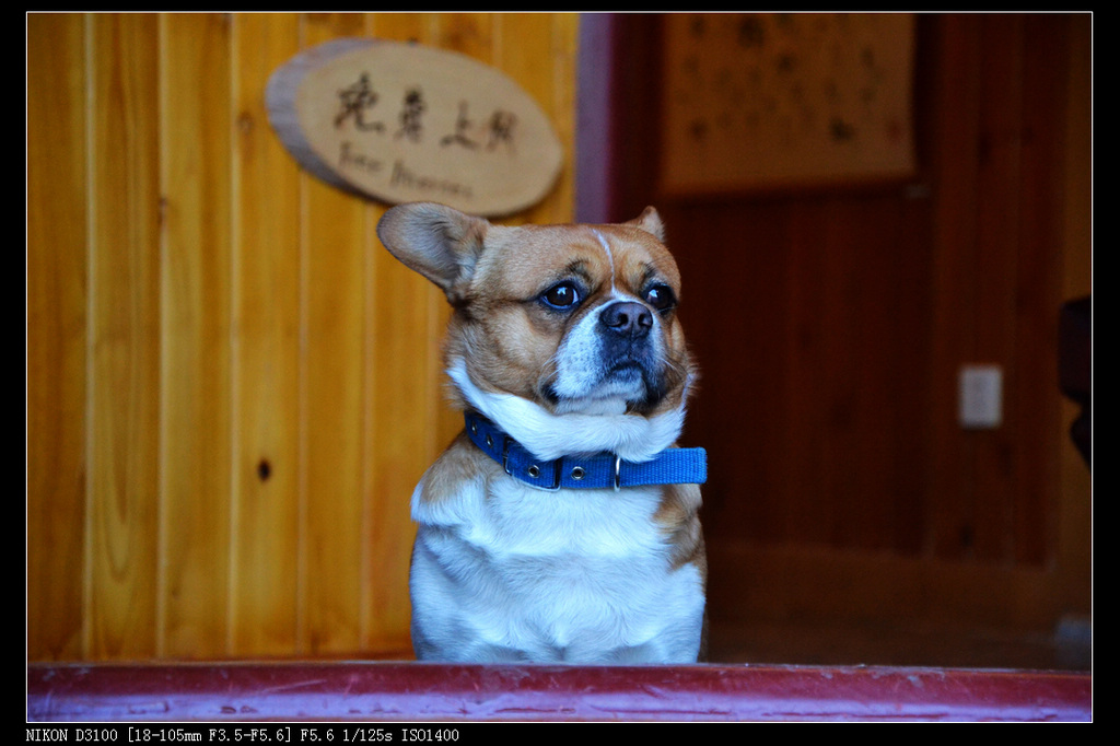 dsc_0020.jpg