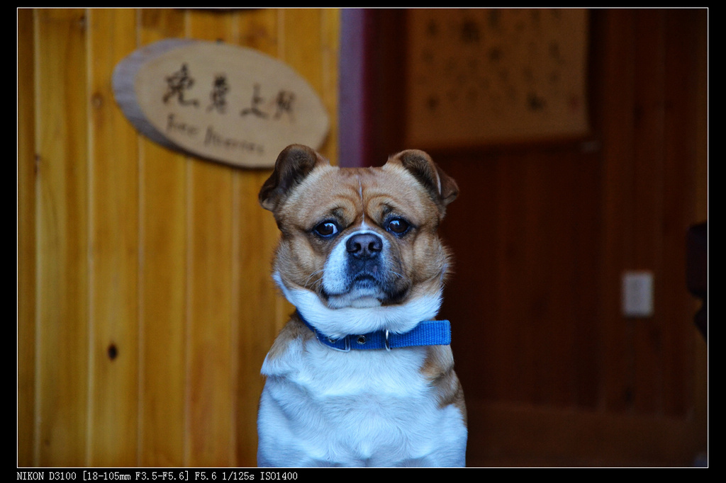 dsc_0022.jpg