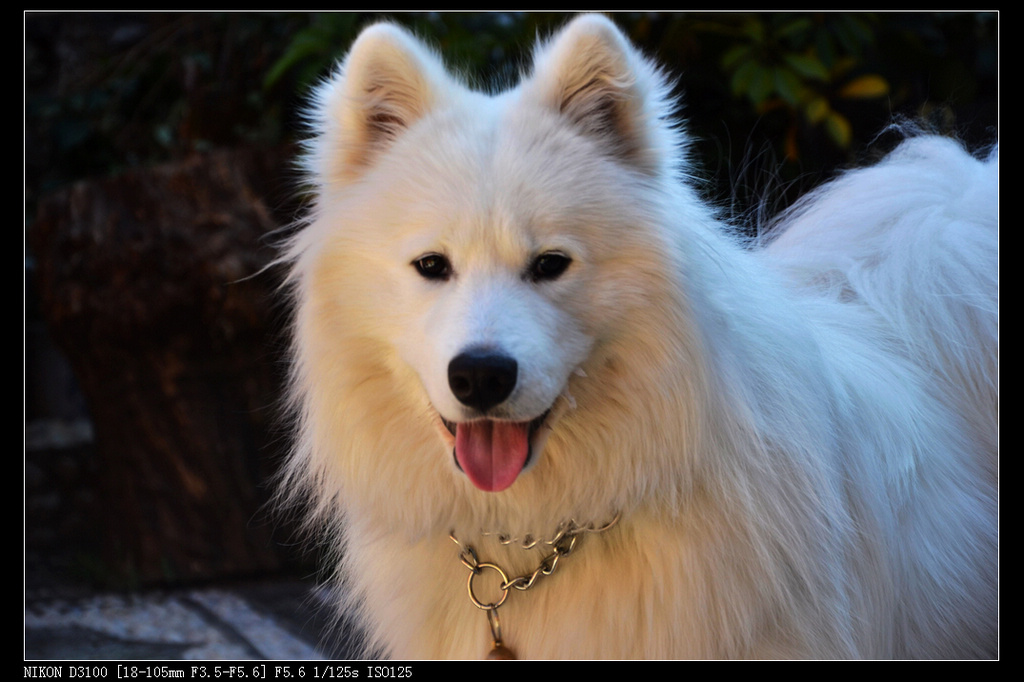 dsc_0067.jpg