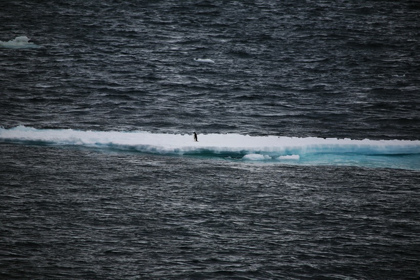img_7380.jpg