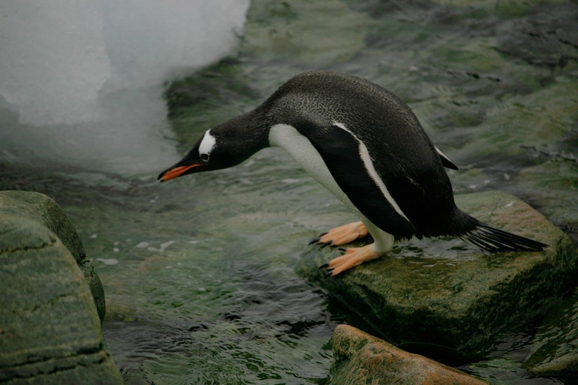 img_7801.jpg