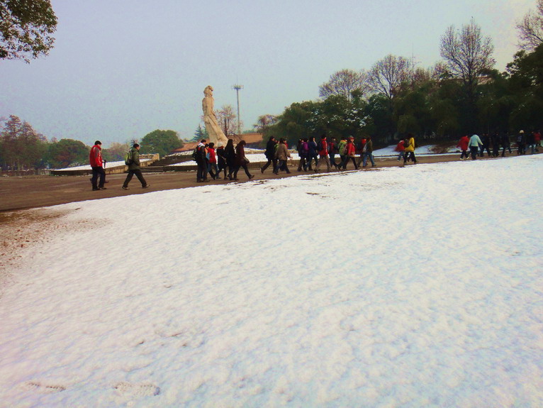 dsc02737.jpg
