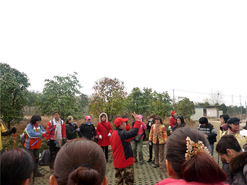 p1040647_.jpg