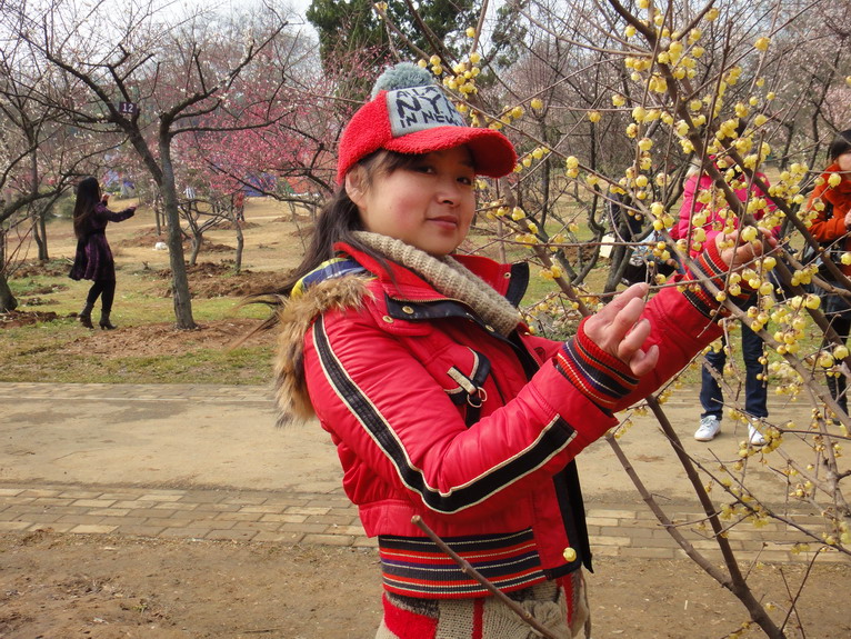 dsc02837.jpg