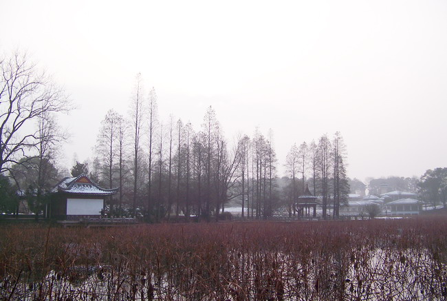 100_7870.jpg
