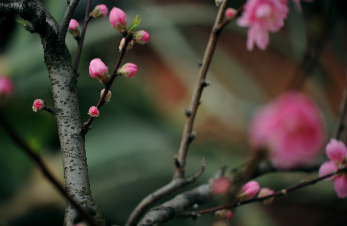 dsc_5066a.jpg