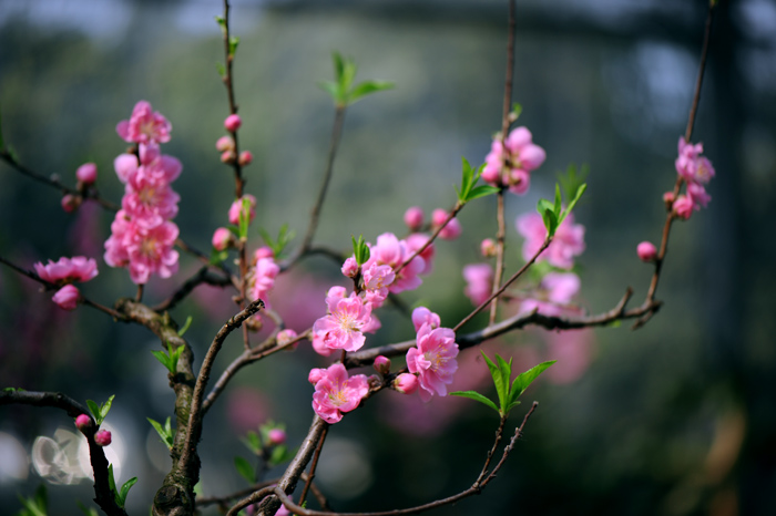 dsc_5072a.jpg