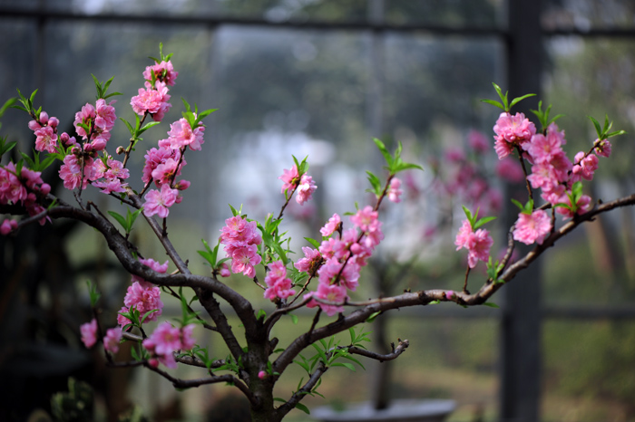 dsc_5075a.jpg