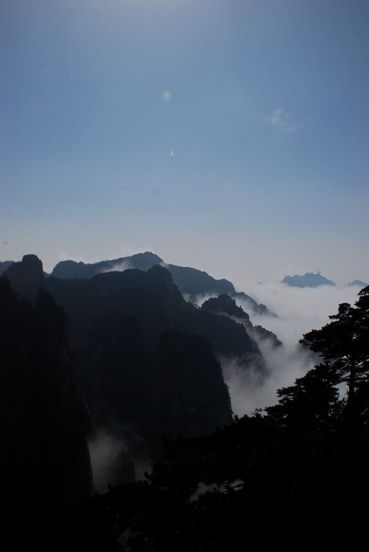 dsc_1517.jpg