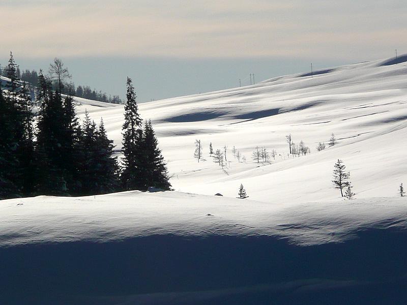 p1200611.jpg
