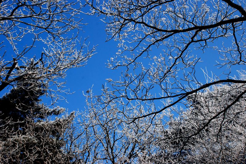 dsc_1569.jpg